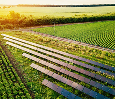 Tesco and NatWest launch discounted green finance offer for 1,500 farmers