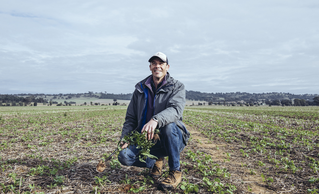 Last year Greg Condon, WeedSmart’s extension agronomist in southern New South Wales, saw widespread failure of clethodim applications for ryegrass control, particularly in canola crops.