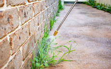 Study: More than half of UK councils use 'harmful' pesticides in public spaces