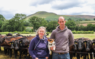 Sheep special: New data released on anthelmintic resistance on Welsh farms