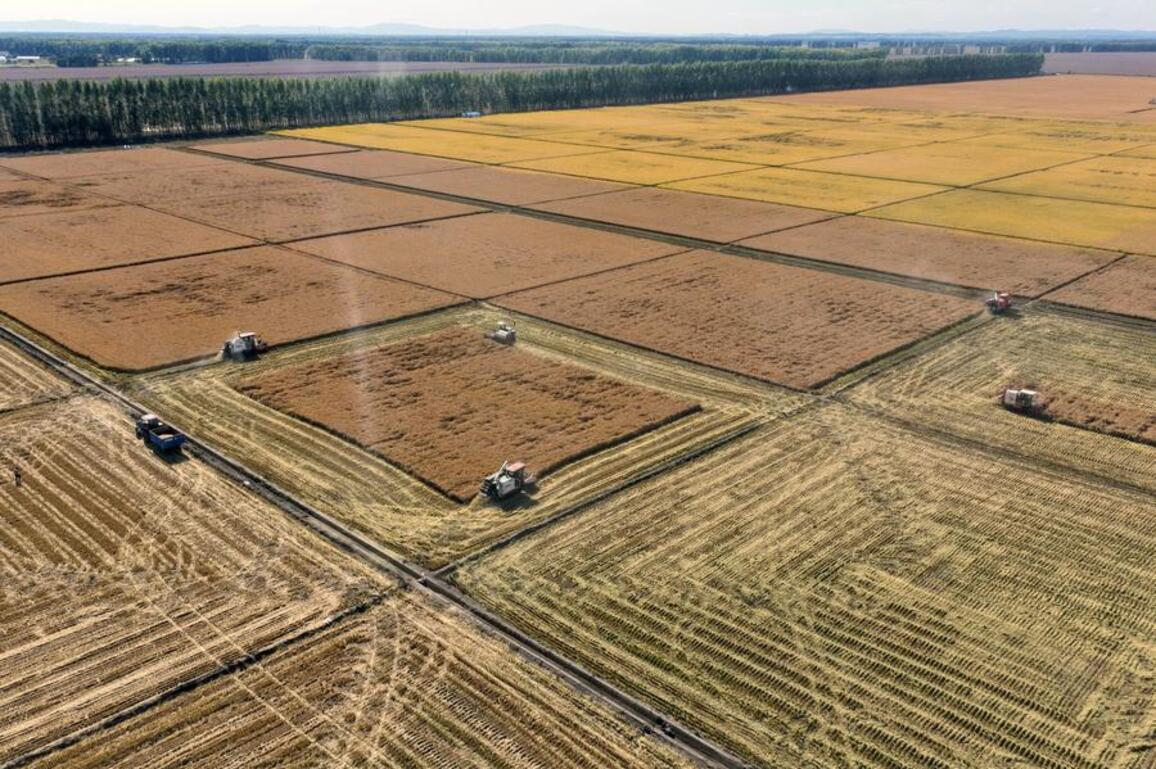 Smart agritech machinery drives China's push toward modern agriculture
