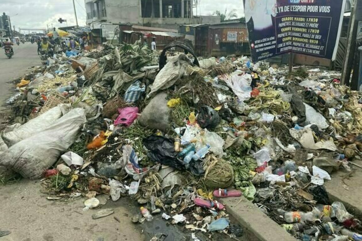 Cameroon could be turning waste to energy: study uncovers why it's not, and sets out solutions