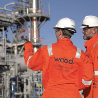 Wood fate may be sealed, GDP set to be positive  Daily Business