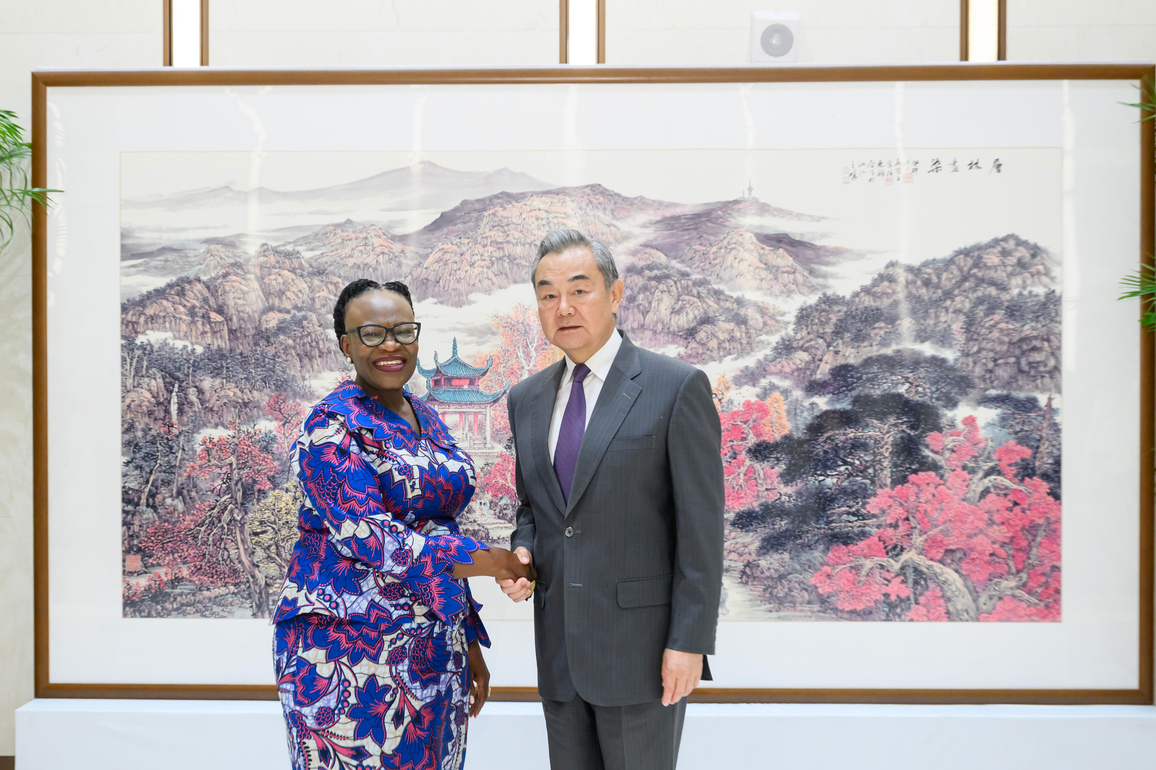 CHINA-HUNAN-CHANGSHA-WANG YI-NAMIBIA-MEETING (CN)