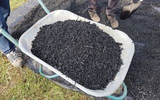 Carbon credit integrity assessments for biochar projects win seal of approval