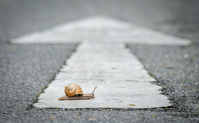 Professional trustee market sees slowest growth in five years