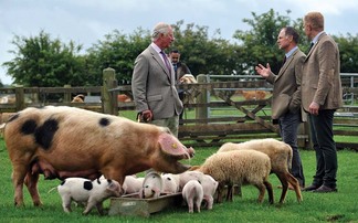 King Charles' foundation launches fund to support young farmers