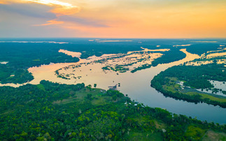 Global Briefing: Brazilian Amazon on course for record low deforestation in 2026