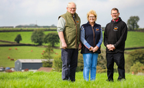 South Devon cattle bred for the future on the edge of Dartmoor