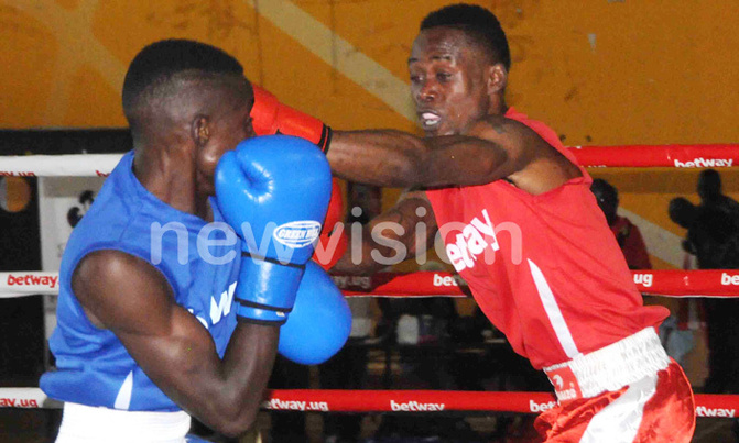 National Intermediate Boxing Championships takes shape National Intermediate Boxing Championships takes shape