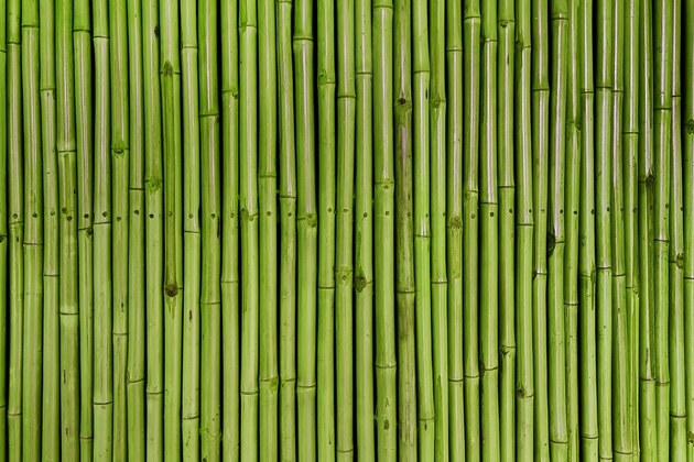 New Bamboo Design Standards Manual