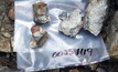  GoldON reported 331.76g/t gold and 3,025g/t silver from this grab sample at Slate Falls in Ontario