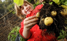 Schools encouraged to sign up for Grow Your Own Potatoes programme