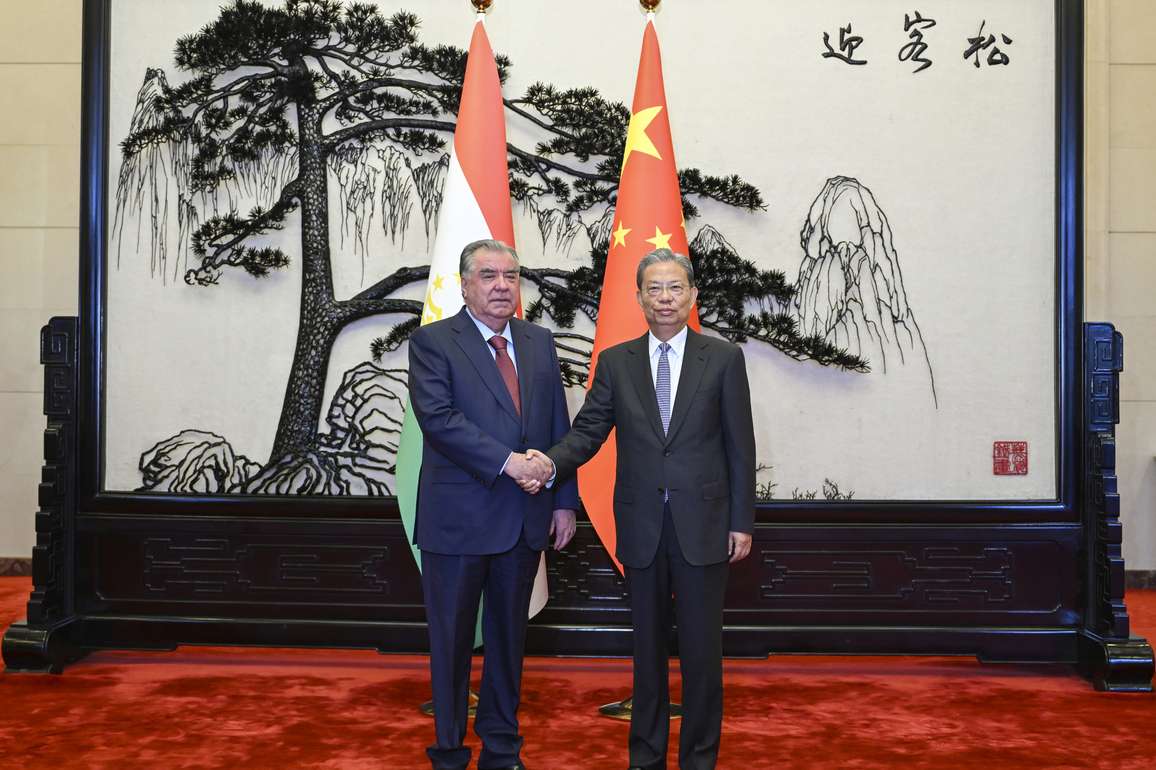 CHINA-BEIJING-ZHAO LEJI-TAJIK PRESIDENT-MEETING (CN)