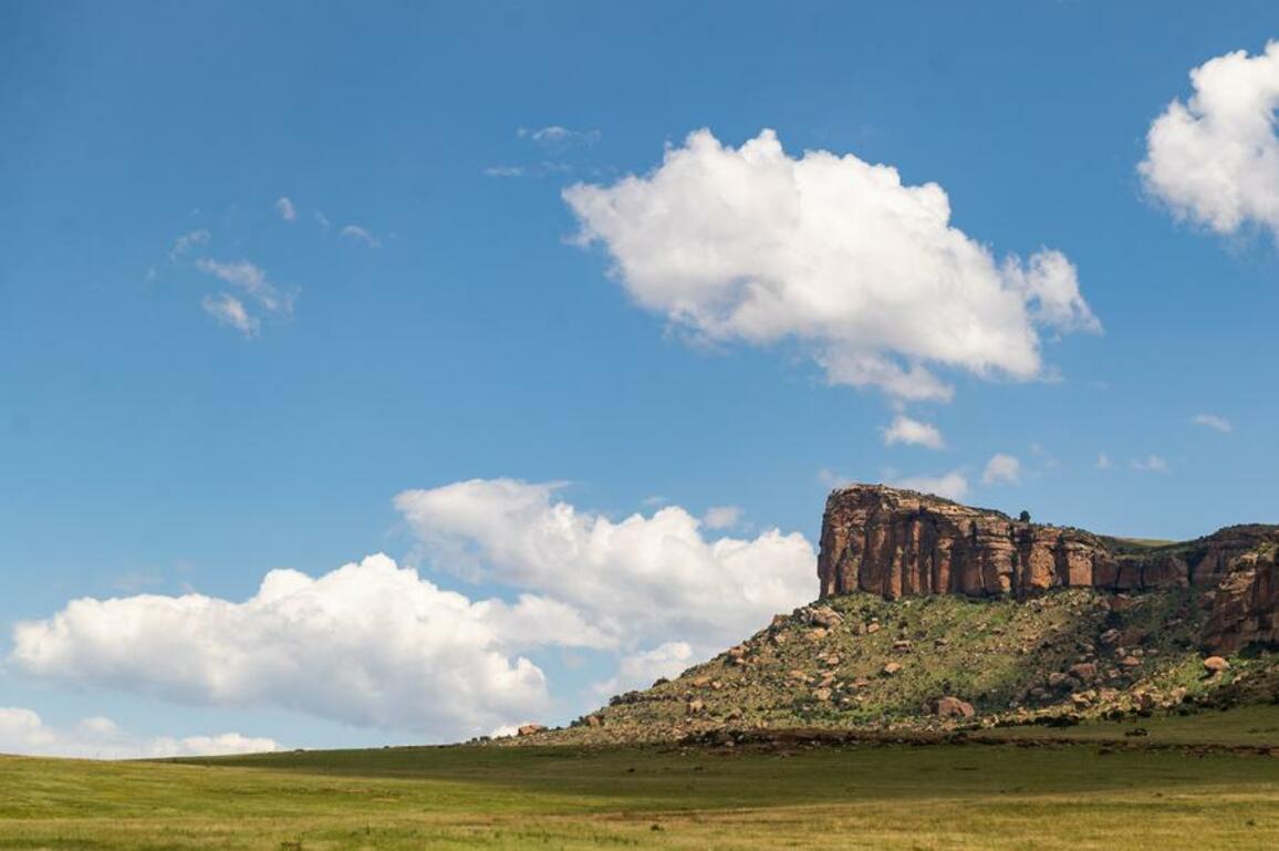 More Chinese, Indian tourists visit South Africa under digital visa scheme