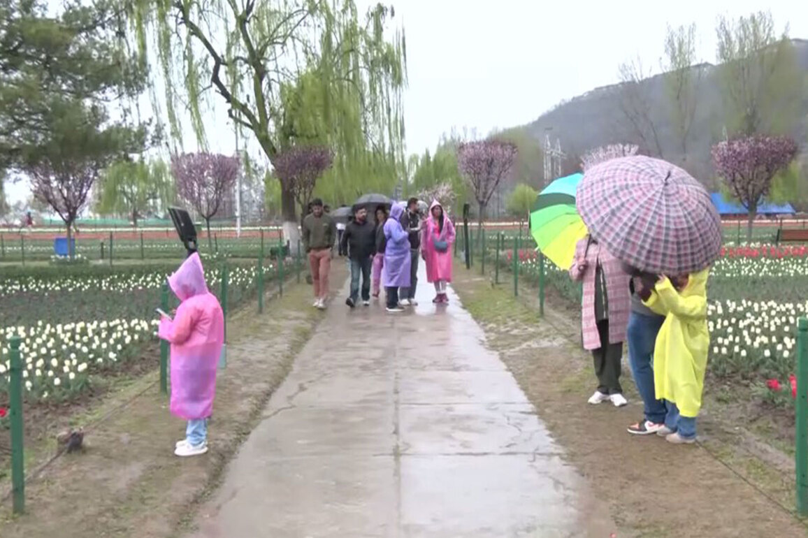 J-K: Tourists arrive in large numbers to witness breathtaking beauty of Srinagar's Tulip Garden