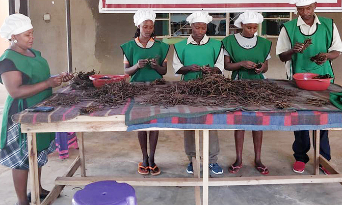Vanilla farmers to get support for value addition Vanilla farmers to get support for value addition