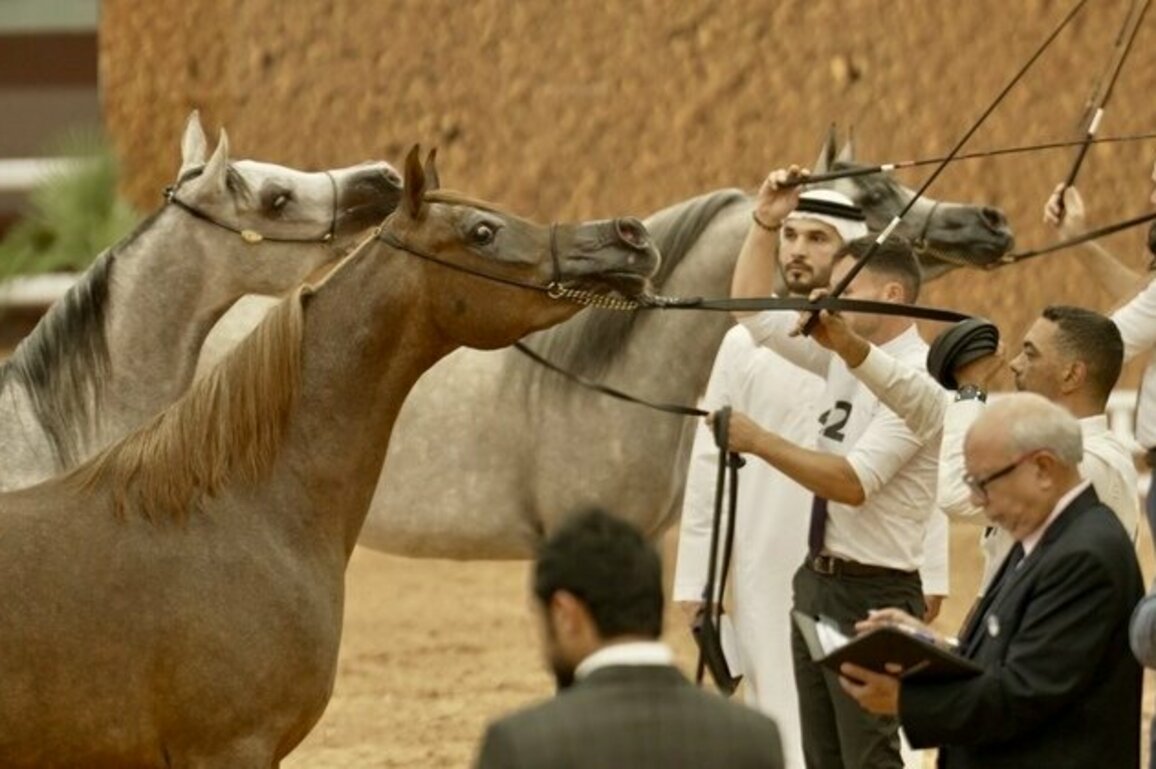 171 horses to compete Friday in EAHGC in Morocco