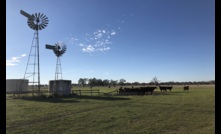 A $206 million program aims to help NSW farmers improve biodiversity and sustainability.