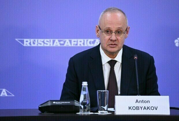 Russia-Africa partnership among top priorities  Putin adviser