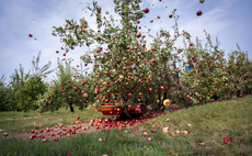 Thatchers kick off earliest harvest in history 