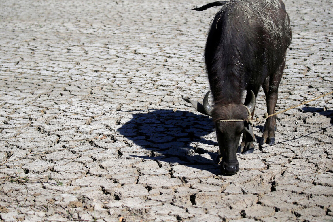 UN Chief warns of extreme weather risks, urges urgent climate action ahead of El Nino