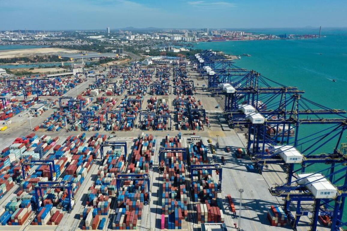Xinhua Commentary: In a fragmenting world, China bets on openness