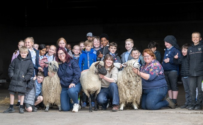 National Sheep Association education day at Olly Harrison's farm