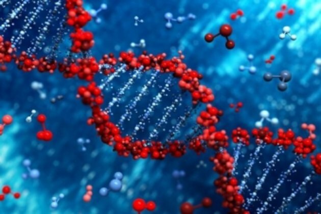 Scientists insert human brain gene into monkeys