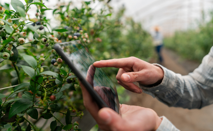 Credit: iStock Credit: iStock