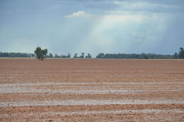 Rain has provided a favourable beginning to the season in multiple regions across Australia. 