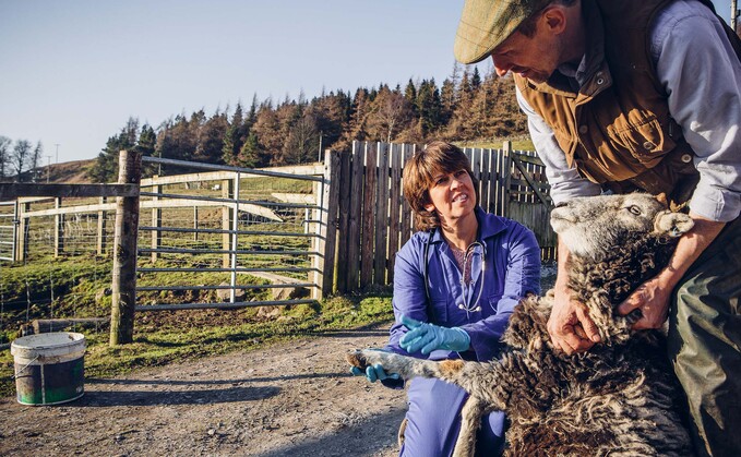 Vets can help farmers get access to Government funding and support.