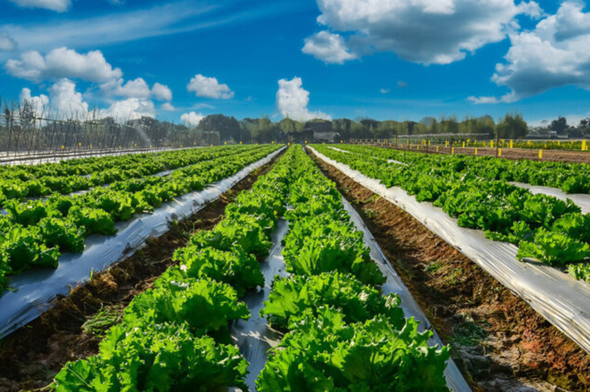 New executive order claims glyphosate crucial for Nebraska's food supply