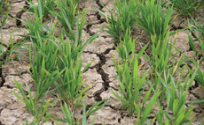 Yorkshire second region in England to move into drought status