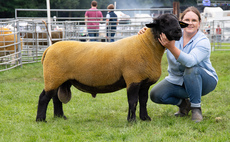 Suffolk reigns supreme at Border Union