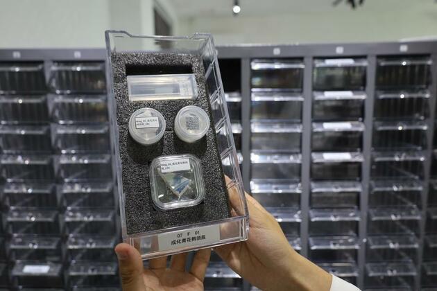 China's ceramic "DNA lab" cracks Dutch collector's porcelain cold case