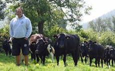 Pasteurised milk vending proves the right move for Pembrokeshire farm