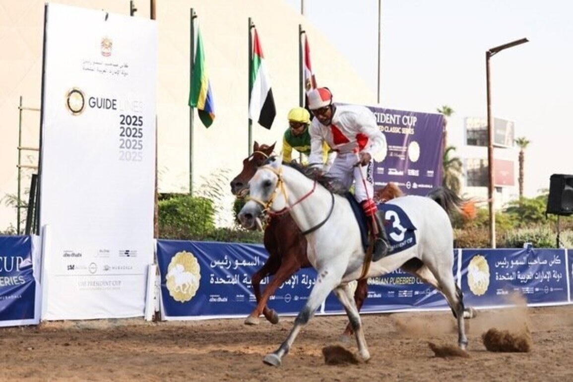 'Fahd Al Ameen' claims title of UAE President Cup for Purebred Arabian Horses in Egypt