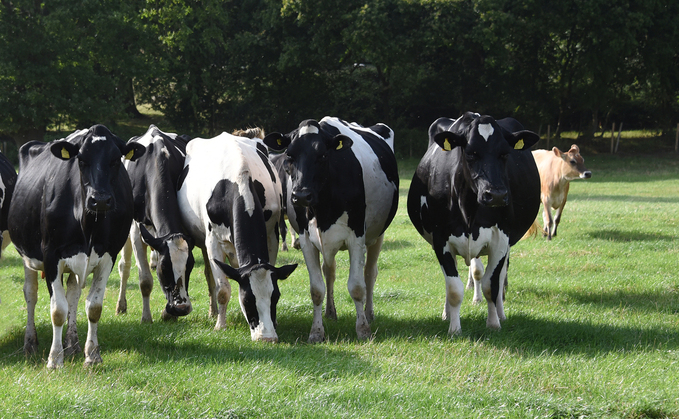 Understanding the impact of Q fever on-farm