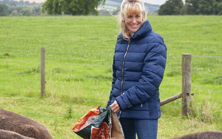 Defra to consider over 50 recommendations in Baroness Batters' Farm Profitability Review