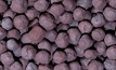 Ferrexpo resumes production of iron ore pellets