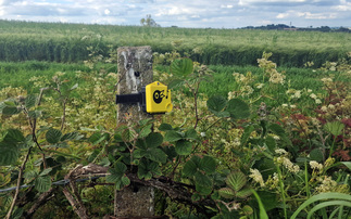Wyke Farms and Chirrup.ai pilot to use birdsong to monitor biodiversity on dairy farms 