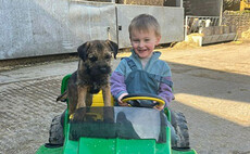 PICTURE GALLERY: Farm dog of the month