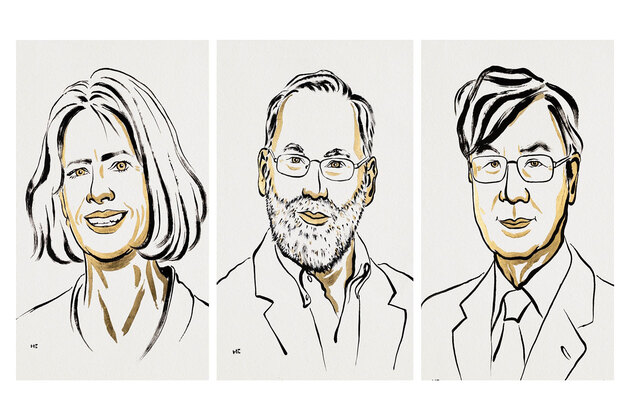 Nobel Prize 2025 awarded to US and Japanese scientists for immune tolerance research