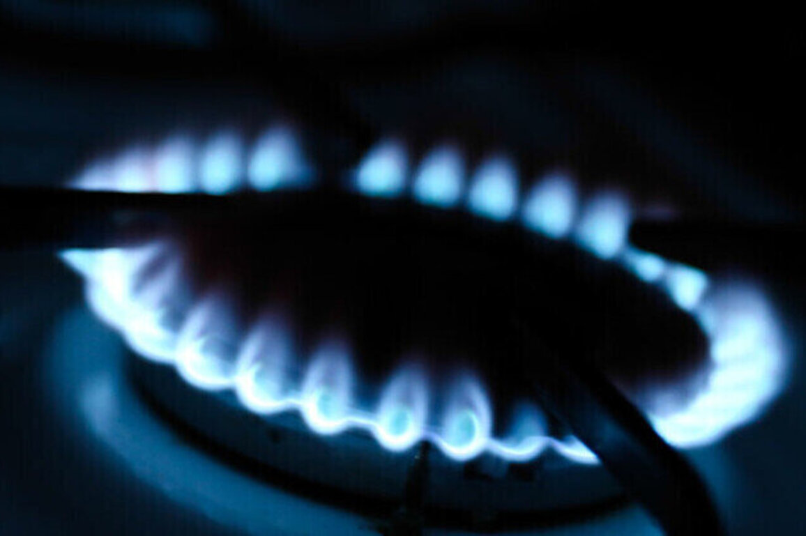 EU moves to cut off Russian gas  Who will pay the price