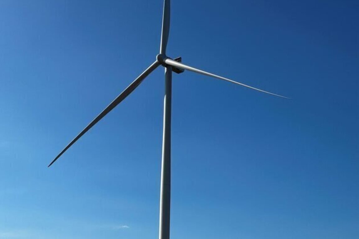 Terra-Gen expands clean energy portfolio with commissioning of Monte Cristo I Windpower Project in Texas