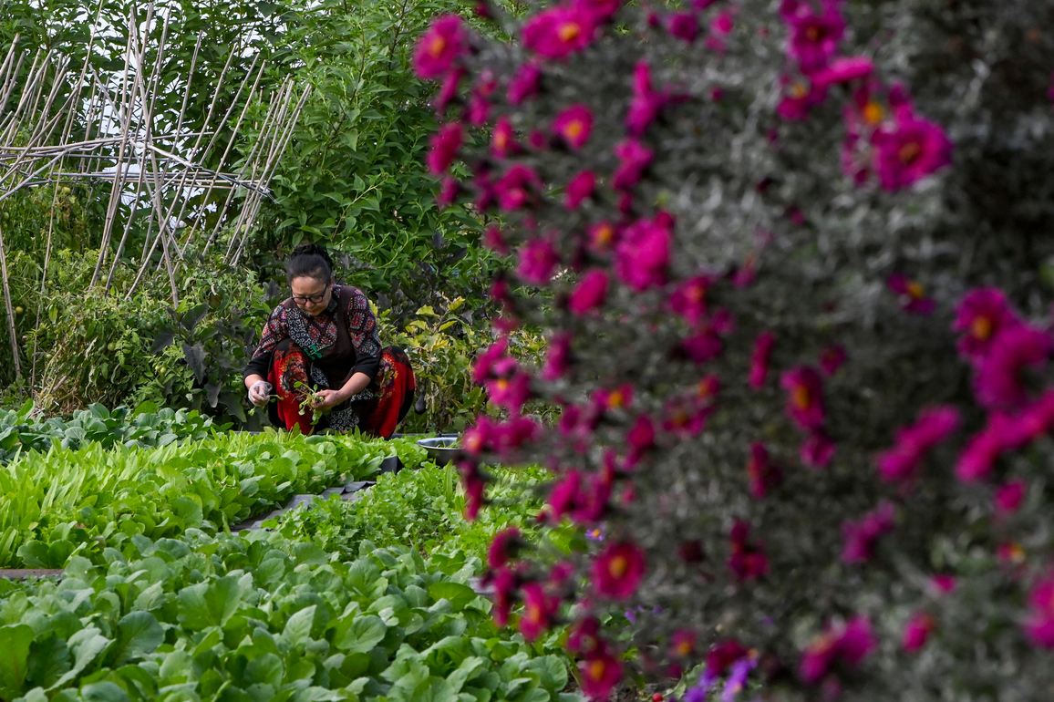 CHINA-XINJIANG-TACHENG-MULTIETHNIC FAMILY-LIFE (CN)