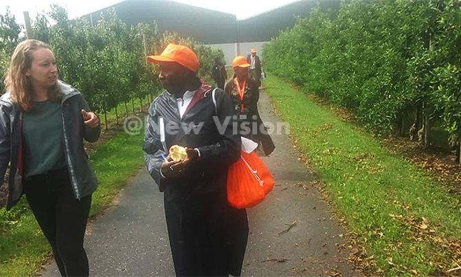 Ugandan farmers tour dairy, piggery, fruit farms in Elshof Ugandan farmers tour dairy, piggery, fruit farms in Elshof