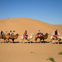 Transformed NW China desert region emerges as travel hotspot