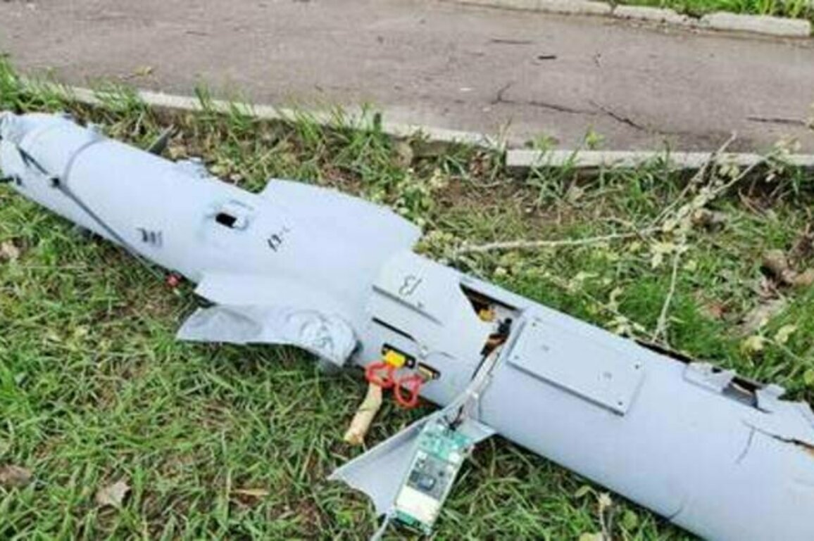 Three killed in 'barbaric' Ukrainian drone strike on public beach - governor